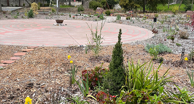 6A-Labyrinth-with-yellow-flowers-copy