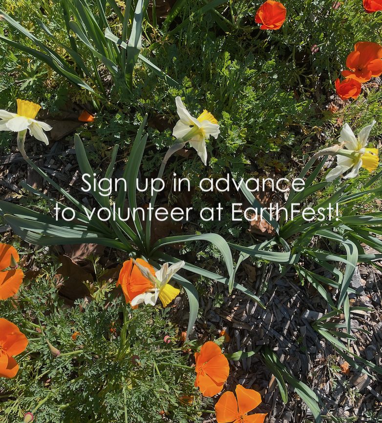 Volunteer at EarthFest!