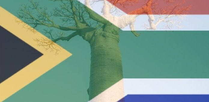 Photo of a Baobab tree with the South African Flag