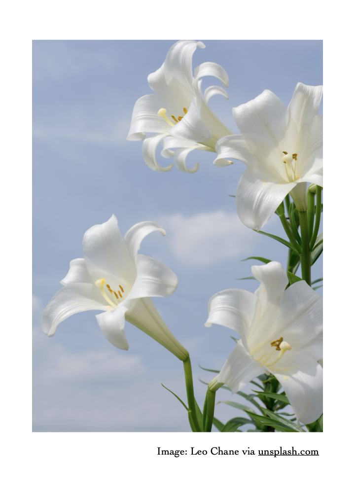 Easter Sunday Celebration 10am