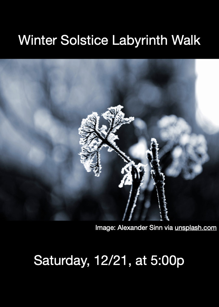 Photo of a flowering plant covered in frost evoking the coldness & darkness of Winter. From Alexander Sinn via unsplash.com.