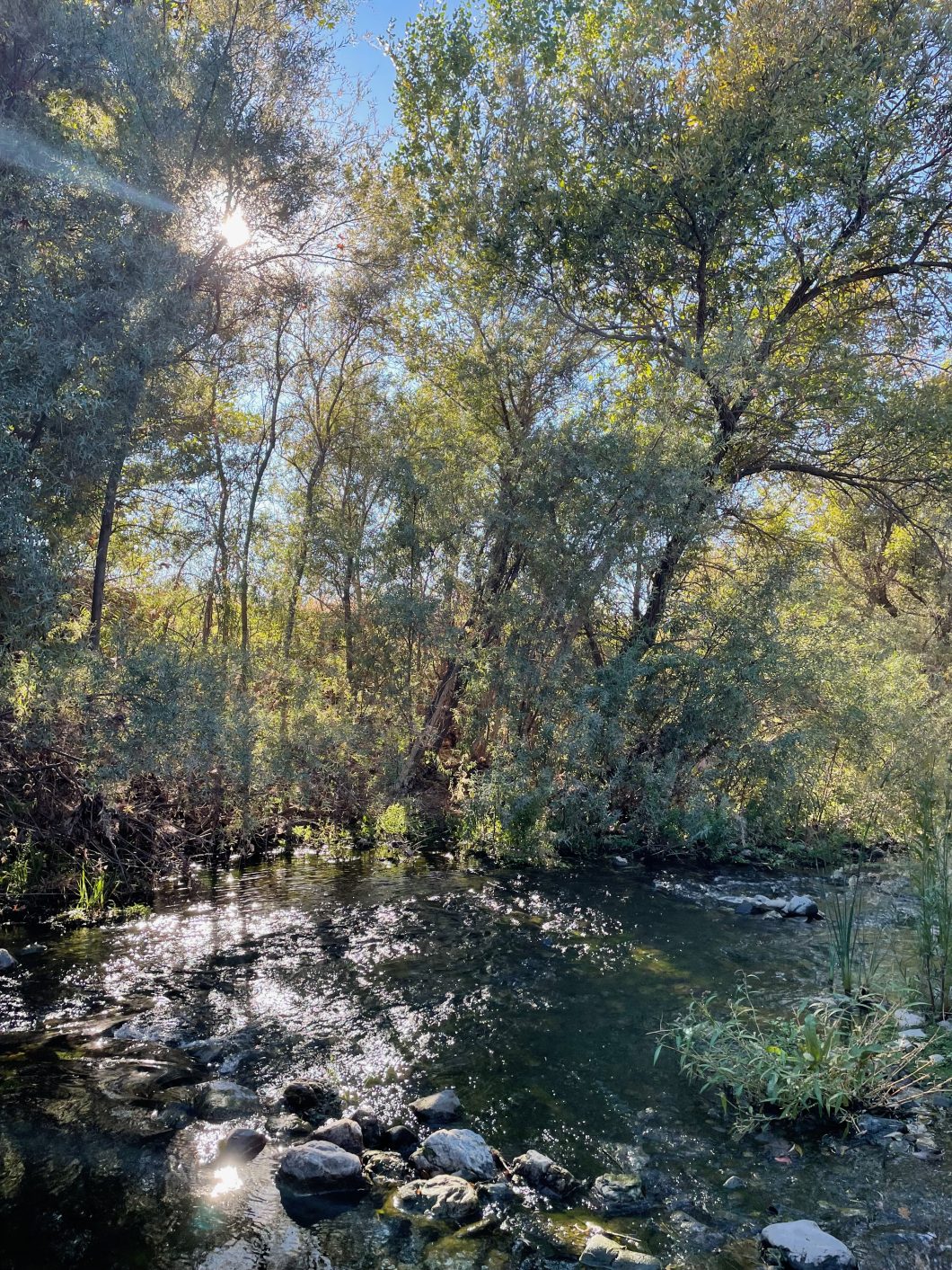 Water running in a clear stream