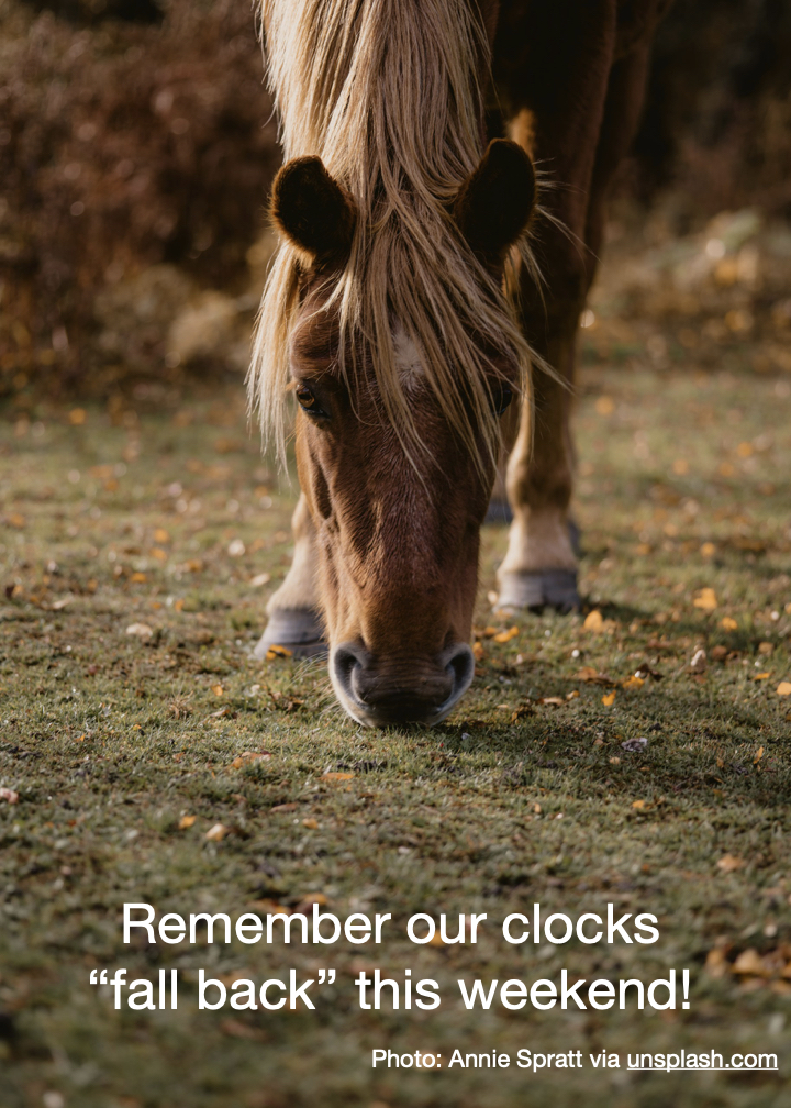 Time Change This Weekend