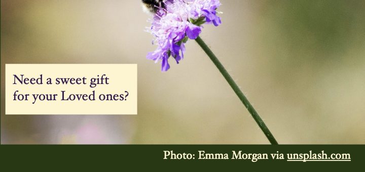 A Bee on a purple flower. Text reads need a sweet gift for your Loved ones? The Bees at the Redwoods Monastery share an exquisite gift: Creamed Honey! Check out the table in the Hallway of the Gathering Hall. Choose your favorite flavor. Price is $7 per jar or 3 for $20.