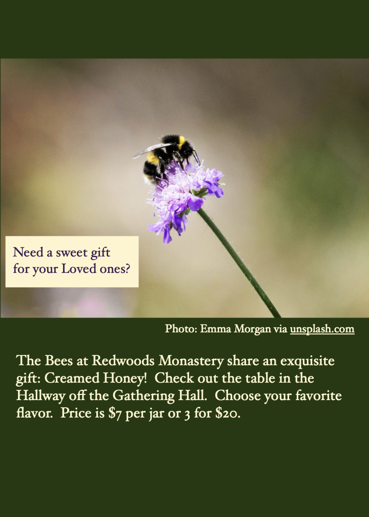 Creamed Honey For Sale