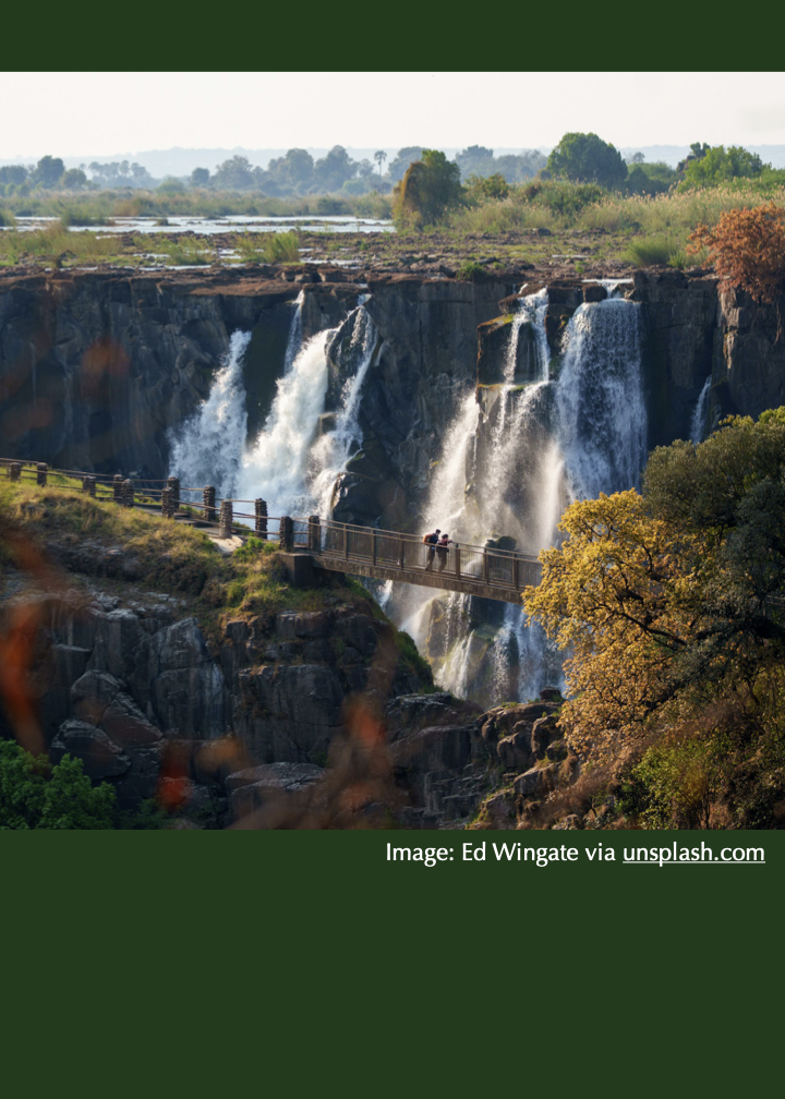 Forum: Update on Transition