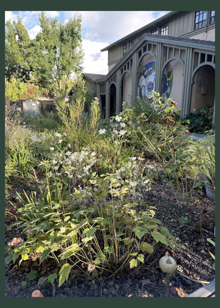 The Peace Labyrinth Garden in Springtime