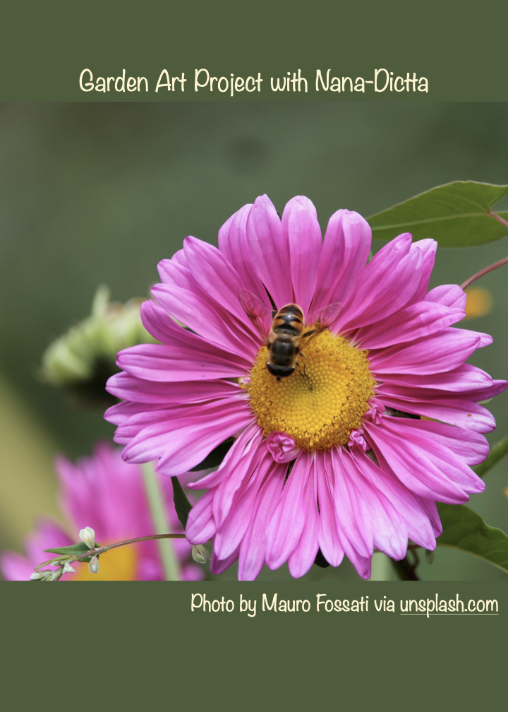 Pink cone flower with a bee in the yellow center. Green leaves in the background. Text Garden Art Project with Nana-Dictta. Photo by Mauro Fossati via unsplash.com