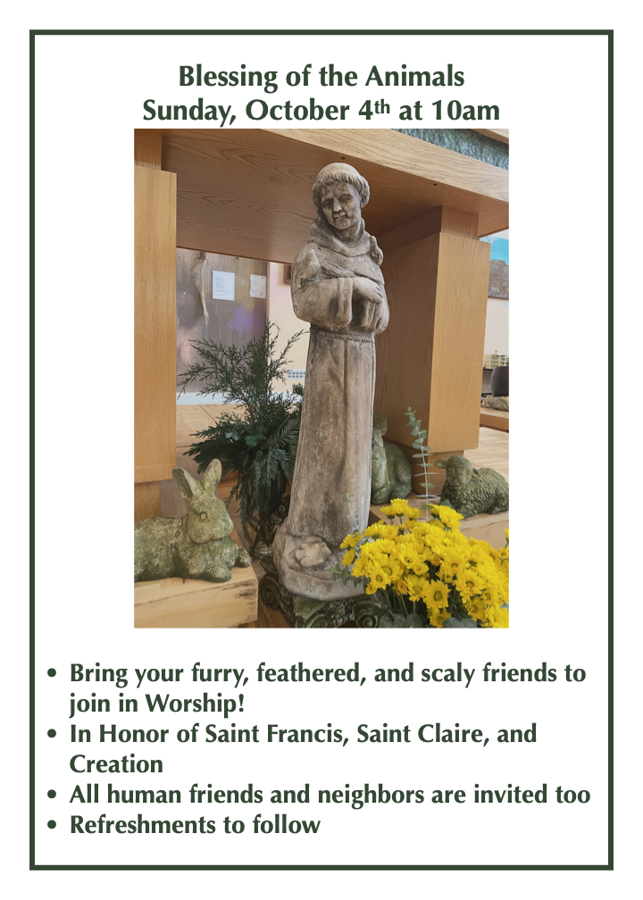 Blessing of the Animals